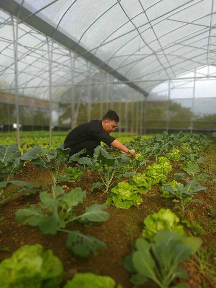 Chiến lược Phát triển Bền vững