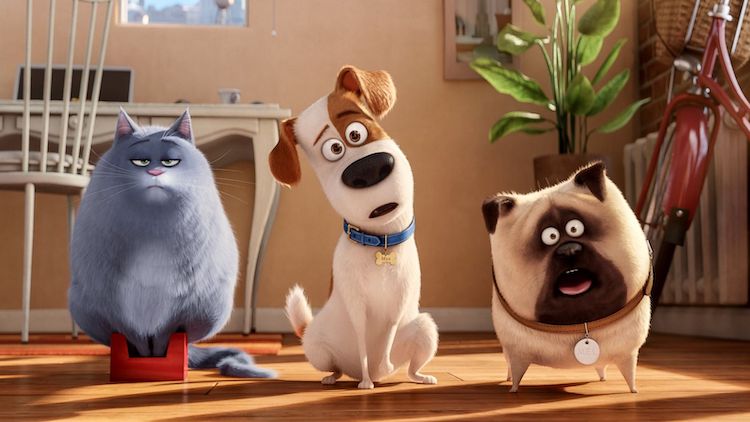 5 tựa phim hoạt hình siêu dễ thương bạn không thể không xem phim-hoat-hinh-The-Secret-Life-Of-Pets