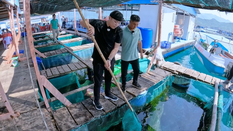 đầu bếp triệu views