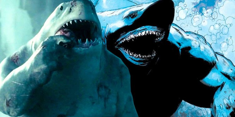 ac-nhan-King-Shark