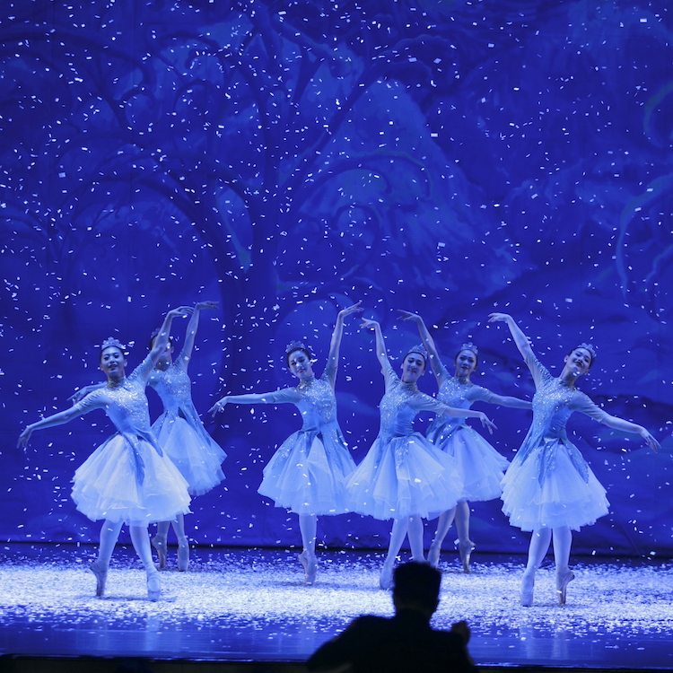 Kẹp hạt dẻ