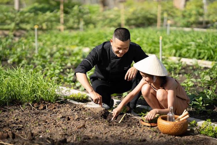 Meliá Hồ Tràm ra mắt khu vườn bền vững Willow’s Garden khu-vuon-ben-vung-Willows-Garden-001