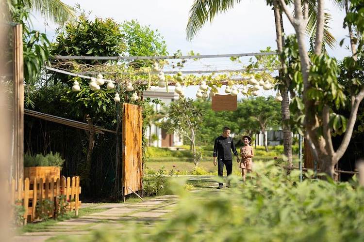 Meliá Hồ Tràm ra mắt khu vườn bền vững Willow’s Garden khu-vuon-ben-vung-Willows-Garden-002