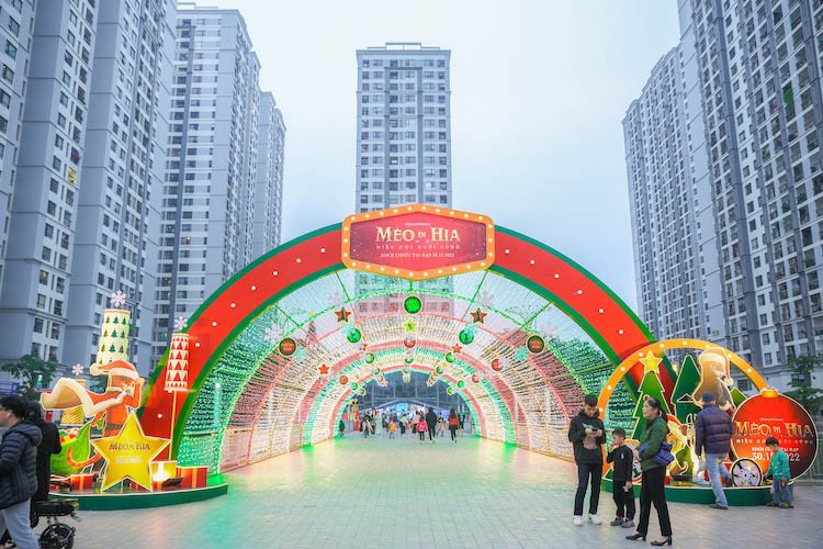 Mèo Đi Hia gây sốt rần rần khi bất ngờ du ngoạn tới Hà Nội và Hồ Chí Minh Meo-di-Hia-ha-noi-01