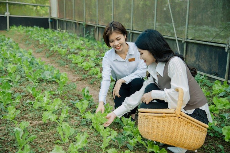 Meliá Hotels International được vinh danh tập đoàn khách sạn bền vững nhất thế giới Melia-Hotels-International-ba-vi