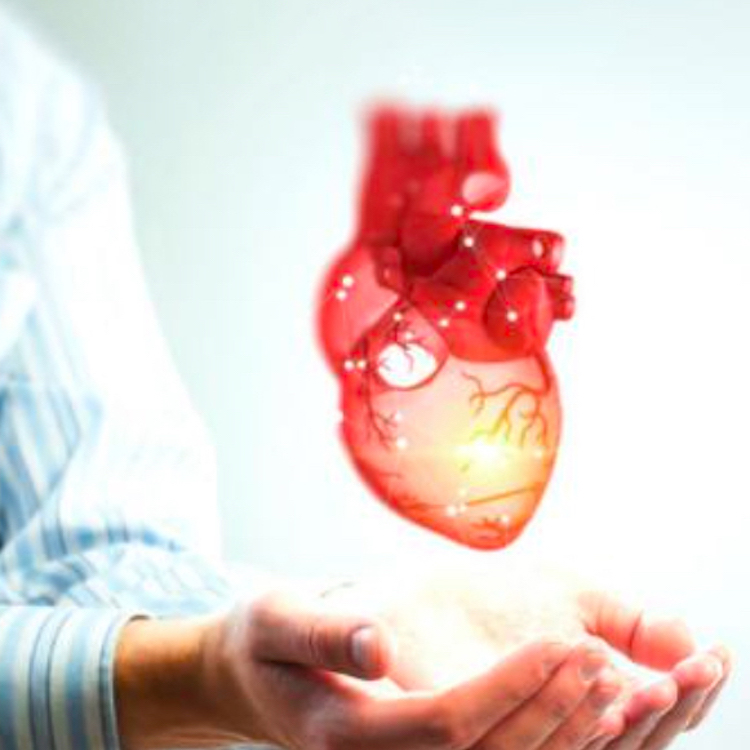 bảo vệ trái tim khỏe mạnh