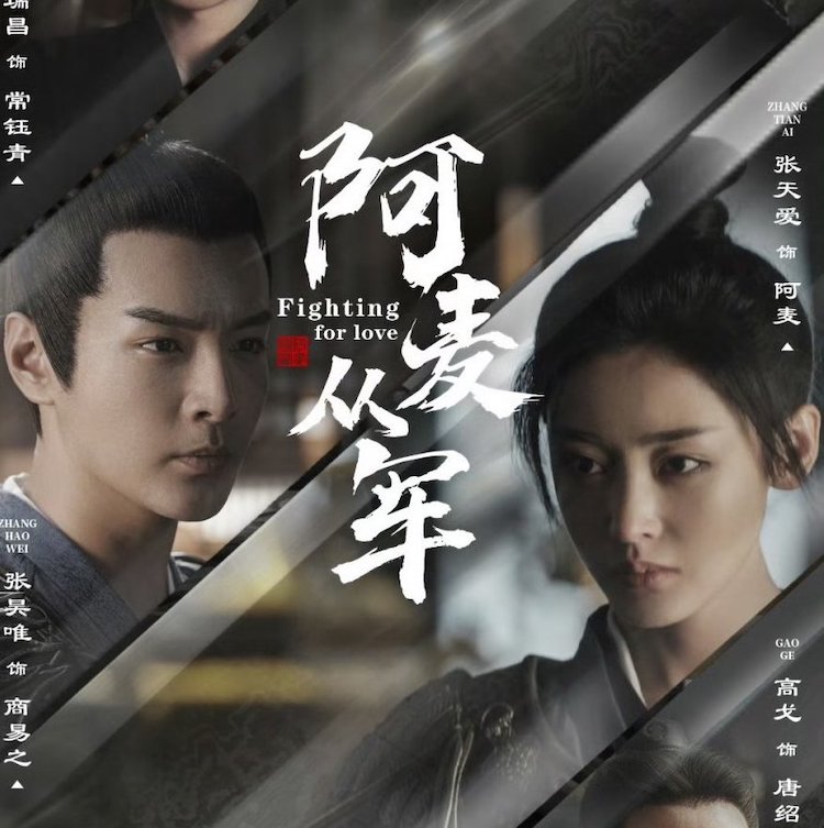 a-mach-tong-quan-Fighting-for-love-07