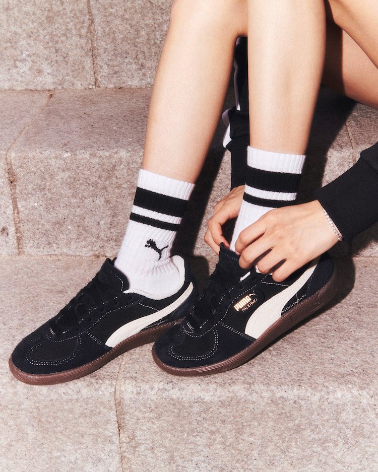 Rose puma Palermo 003