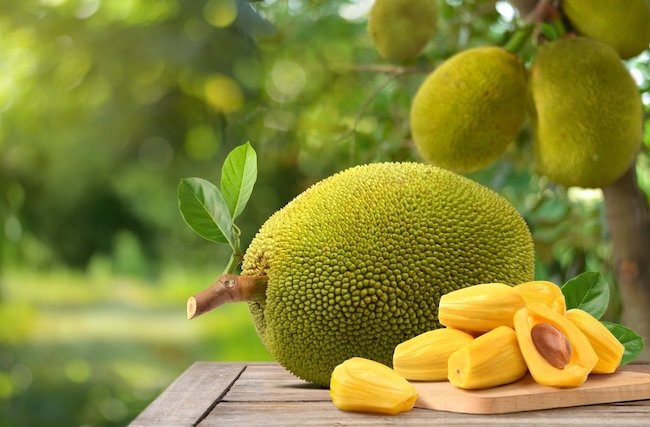Cách làm sữa chua mít mát lạnh, thơm lừng khó cưỡng sua-chua-mit-4