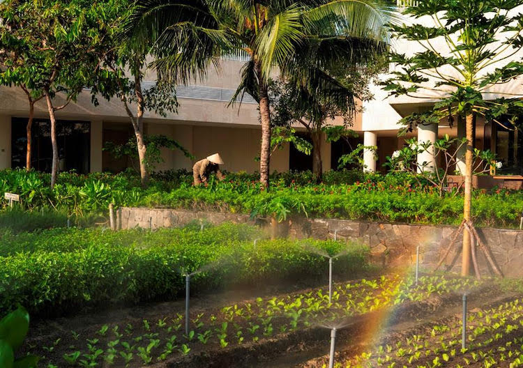 Alma Resort vào Top những khách sạn hàng đầu châu Á alma-resort-003