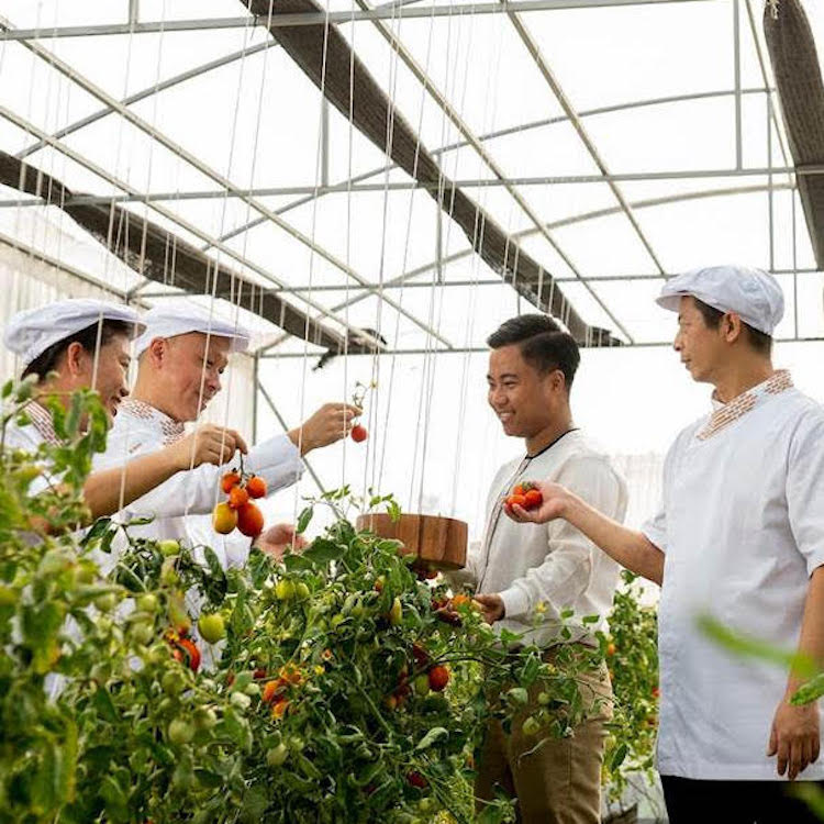 Các khách sạn Meliá hạn chế chất thải thực phẩm bằng công nghệ AI chat-thai-thuc-pham-Melia-06