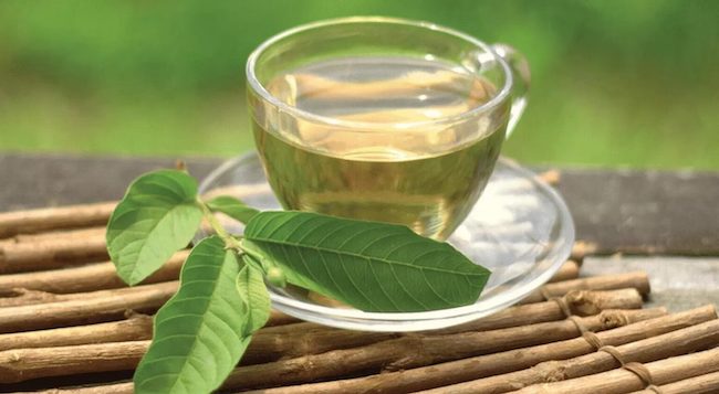 Giải đáp thắc mắc: Uống nước lá ổi hàng ngày có giảm cân không? uong-nuoc-la-oi-01