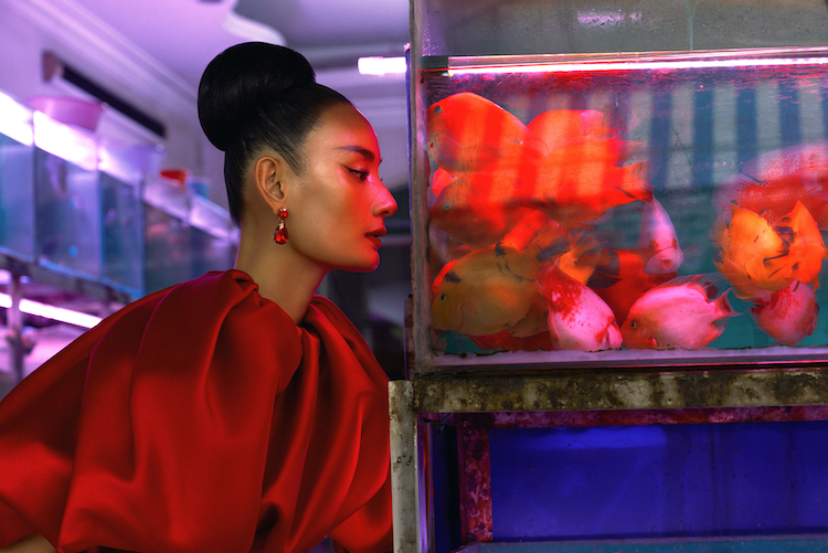 Le-thuy-xuong-pho02
