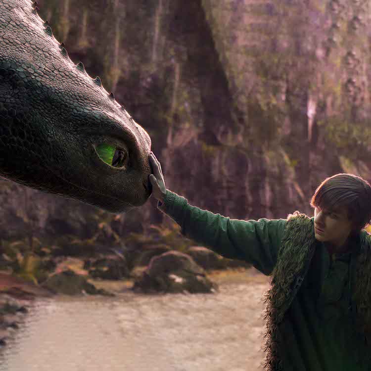 How to Train Your Dragon