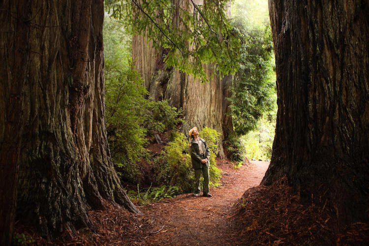 Khám phá 9 công viên quốc gia nổi tiếng ở California, Mỹ cong-vien-quoc-gia-noi-tieng-o-california-3