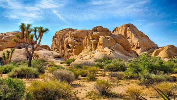 Khám phá 9 công viên quốc gia nổi tiếng ở California, Mỹ cong-vien-quoc-gia-noi-tieng-o-california-4