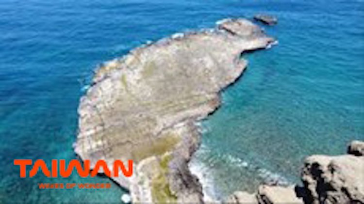 le hoi phao hoa quoc te banh ho 2025 07