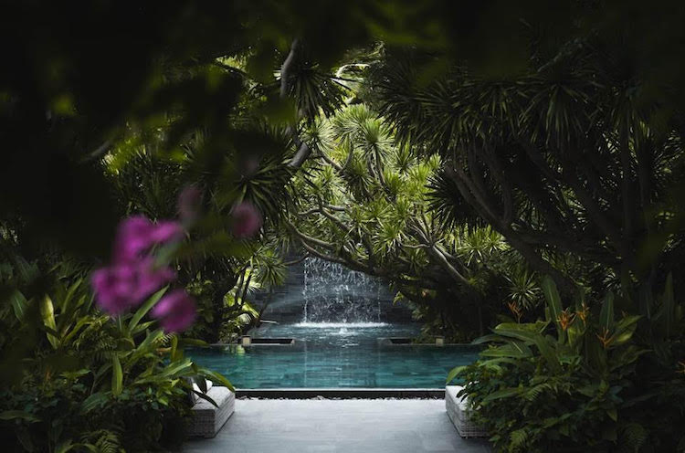 NHỮNG KHU VƯỜN LÃNG MẠN TẠI CÁC KHU NGHỈ DƯỠNG khu-vuon-lang-man-TIA-Wellness-Resort1